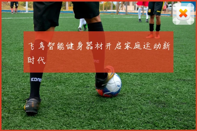 飞鸟智能健身器材开启家庭运动新时代