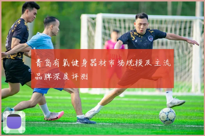 青岛有氧健身器材市场规模及主流品牌深度评测