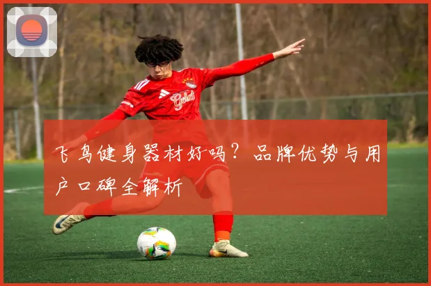 飞鸟健身器材好吗?品牌优势与用户口碑全解析