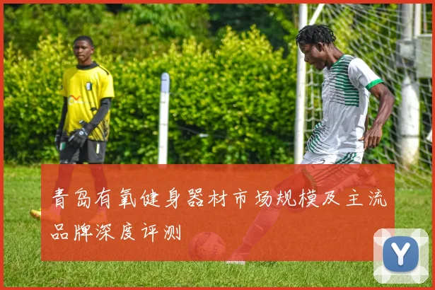 青岛有氧健身器材市场规模及主流品牌深度评测
